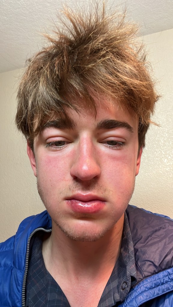 b52e37d7-9e64-4d0b-a379-cbddf50f4f75-1